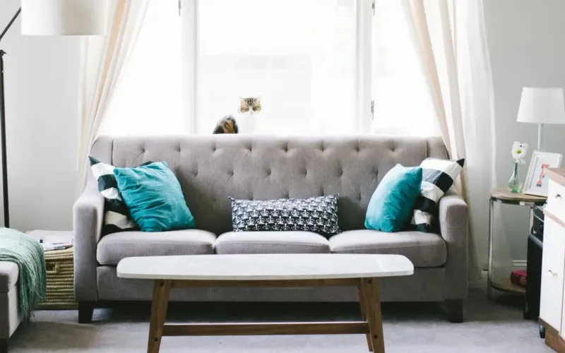 House Interior — HomeNest