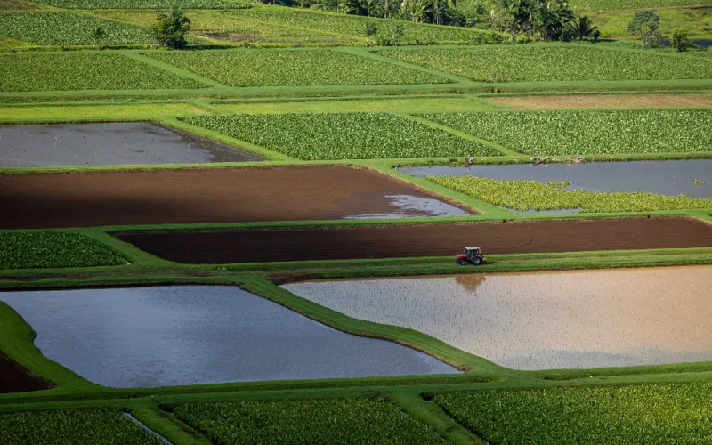 Farming Fields — Field & Furrow Supplies